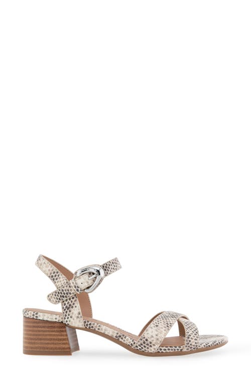 AEROSOLES AEROSOLES CINZIA BLOCK HEEL SANDAL 