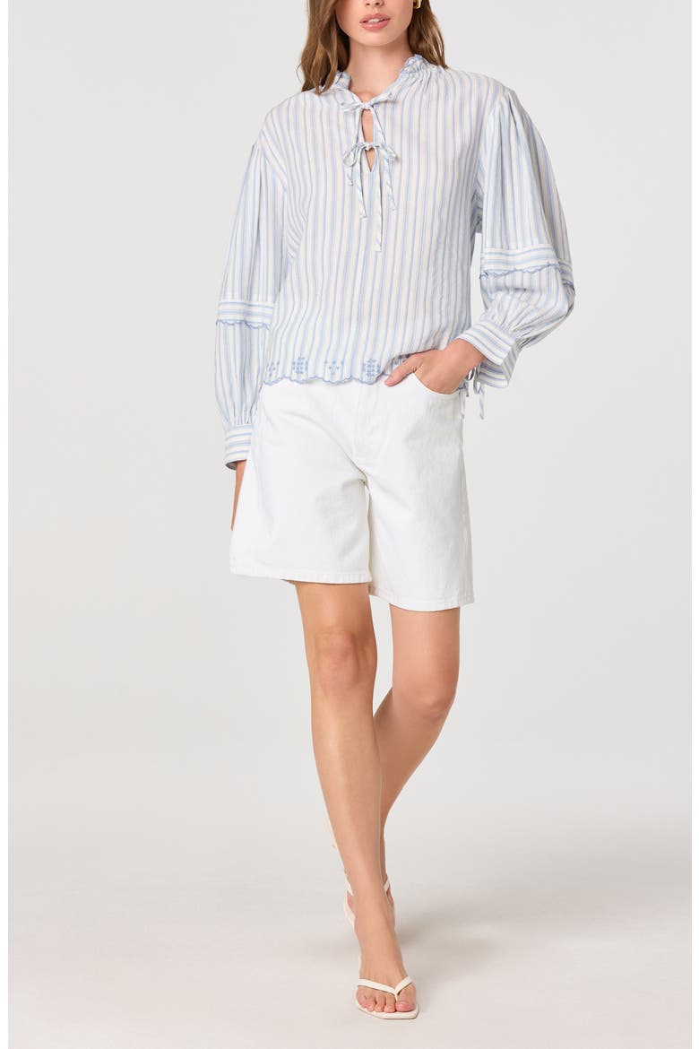 Taliyah Long Sleeve Top, Alternate, color, BLUE STRIPE