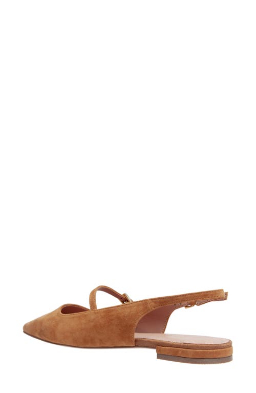 Linea Paolo Celeste Slingback Pointed Toe Flat In Brown