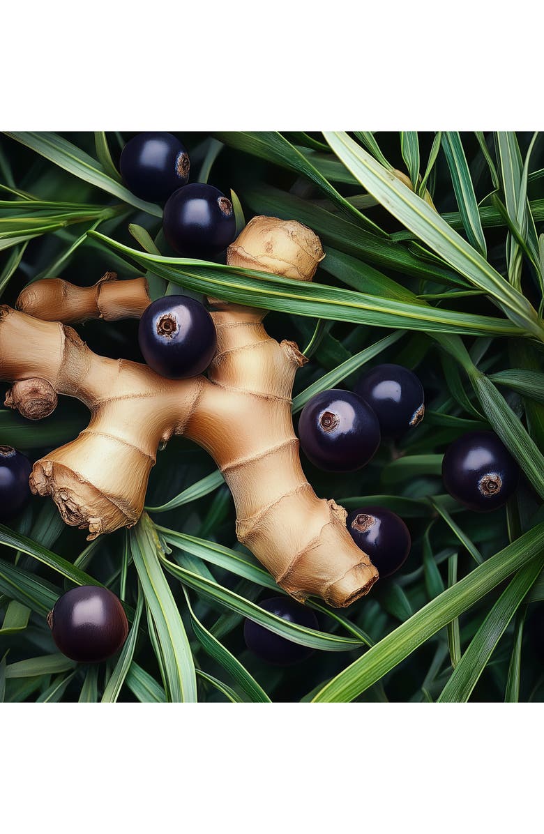 House of Sillage Mickey & Friends Amplifier Gift Set, Alternate, color, 