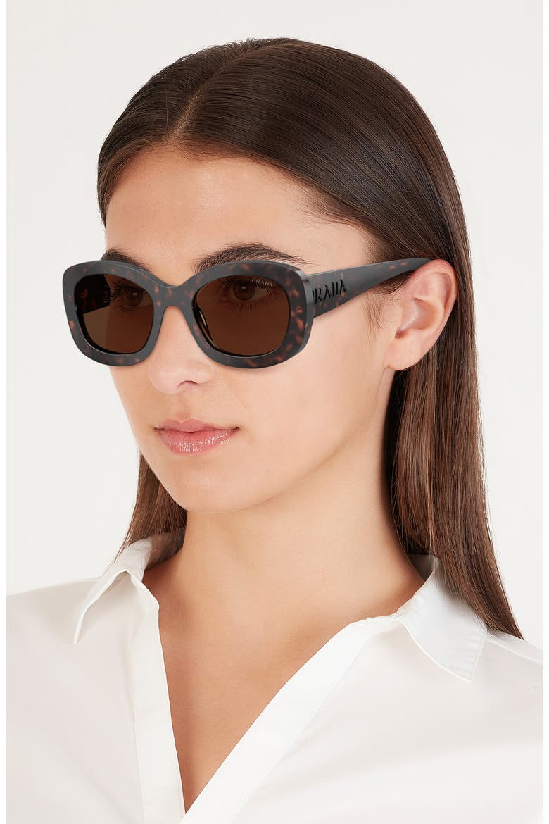 54mm Oval Sunglasses, Alternate, color, DARK HAVANA/ DARK BROWN