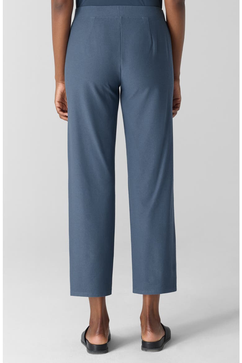 Straight Leg Ankle Pants, Alternate, color, ECLPS