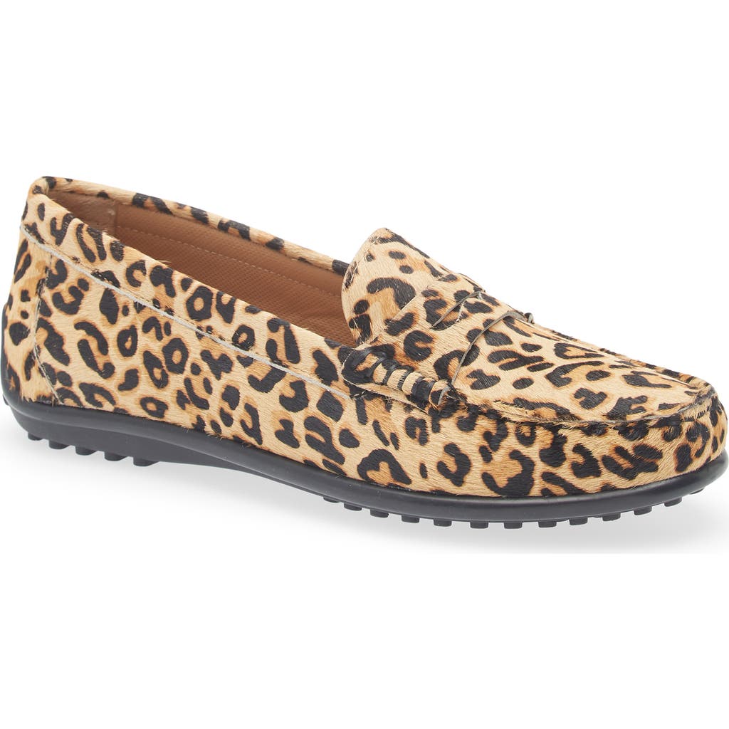 The Flexx Winter Driving Shoe In Multi