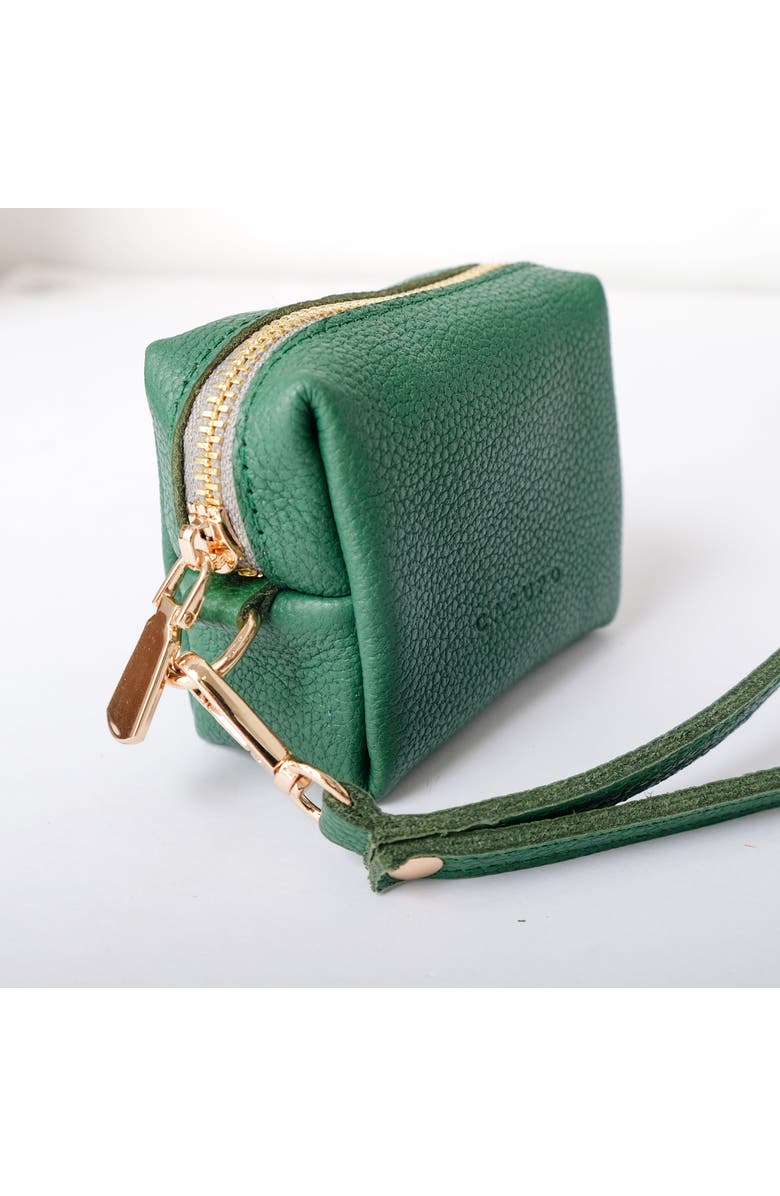 Casupo Mini Zipper Bag with Wristlet, Alternate, color, Green