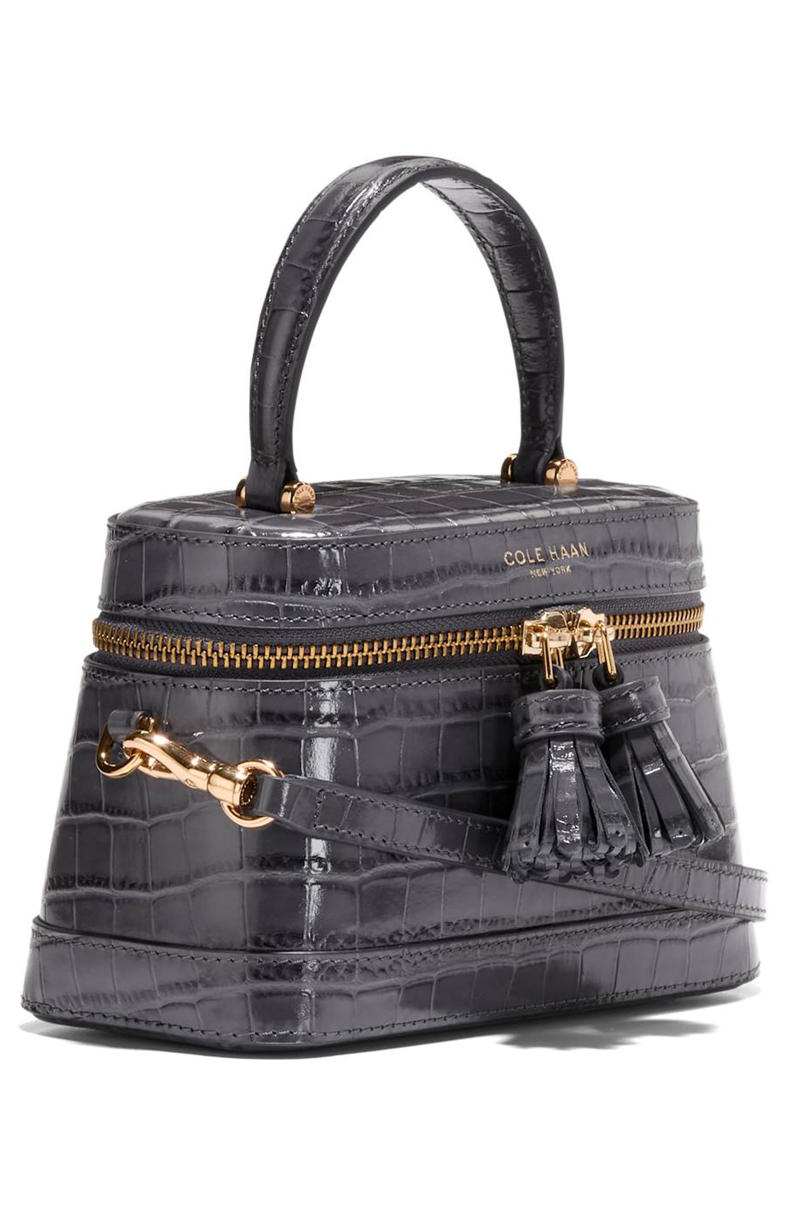 Fleur Croc Embossed Leather Vanity Bag, Alternate, color, BLACK CROCO PRINT