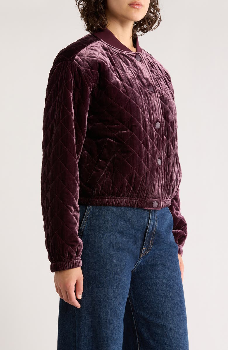 Marine Layer Anita Velvet Quilted Bomber Jacket, Alternate, color, Fig