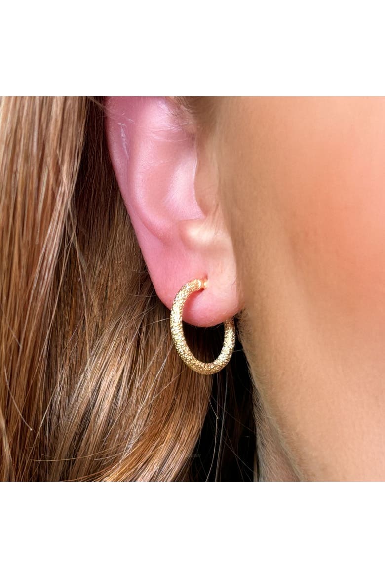 Mini Mesh Gold Hoop Earrings, Alternate, color, Yellow Gold