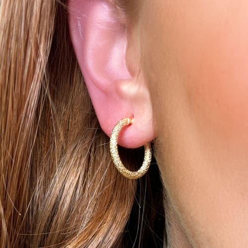 The Lovery Fine Jewelry Mini Mesh Gold Hoop Earrings In Gold