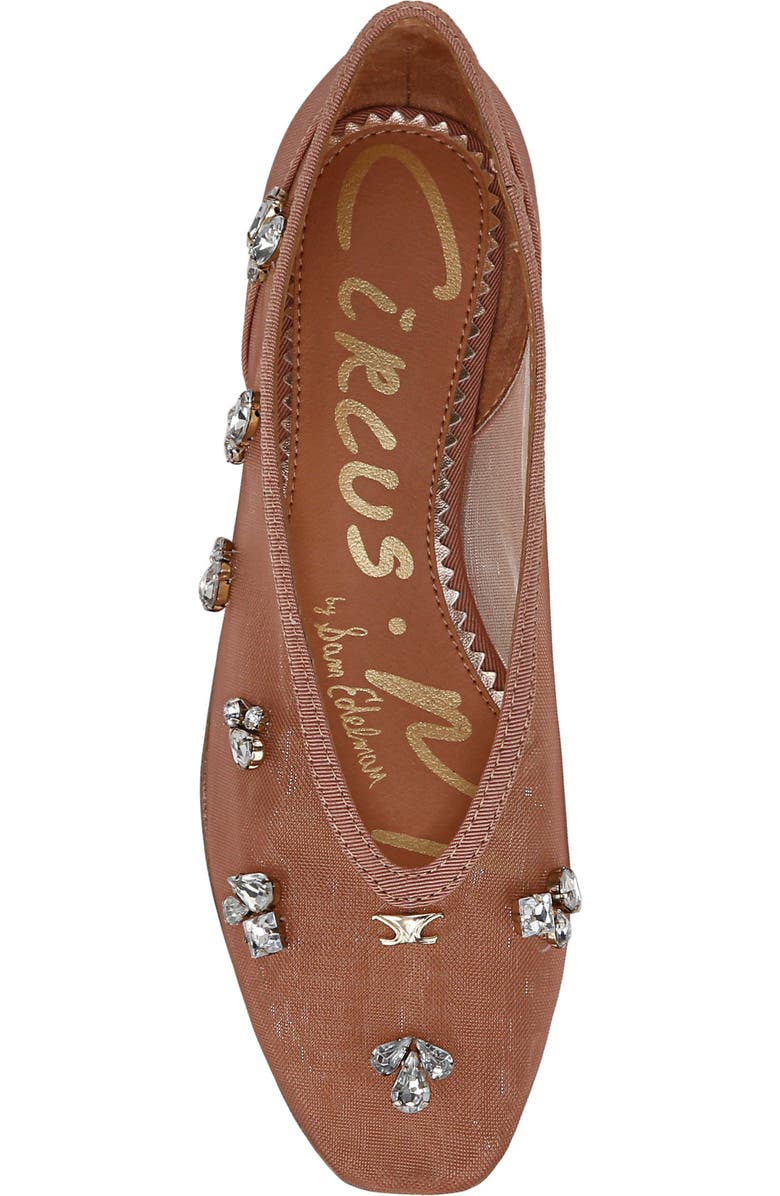 Circus NY by Sam Edelman Tina Ballet Flat, Alternate, color, Cinnamon Sugar