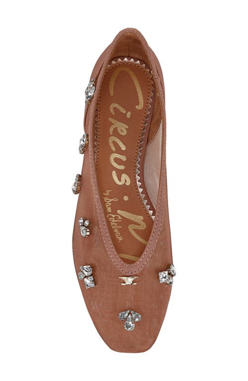 Circus Ny By Sam Edelman Tina Ballet Flat
