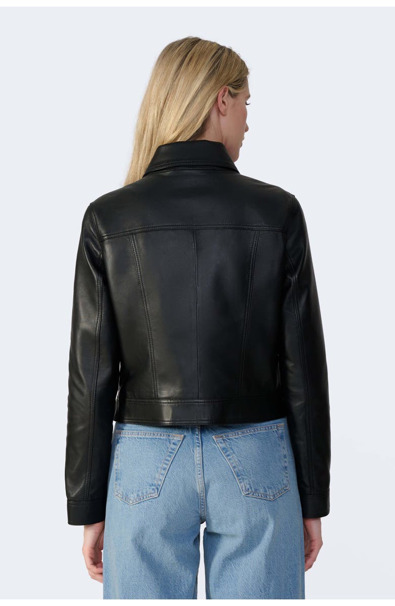 Furniq UK Flora Leather Jacket, Alternate, color, Black