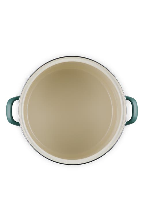 Le Creuset Enameled Stainless Steel Stockpot In Green