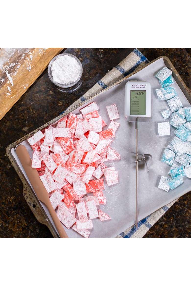 Digital Candy and Deep Fry Thermometer, Alternate, color, White