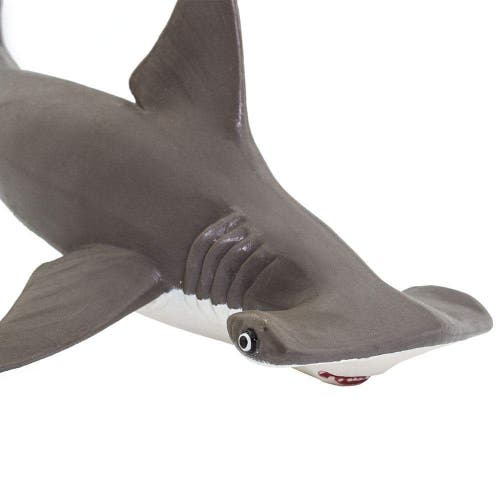 Safari Ltd. Hammerhead Shark Baby