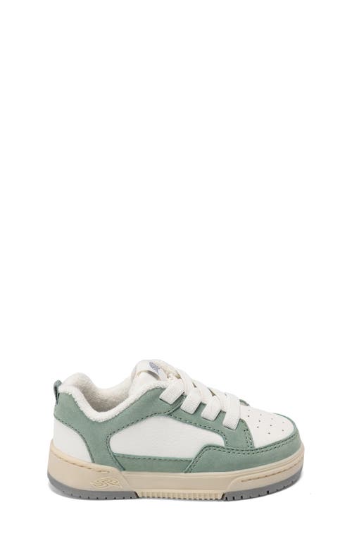 Stride Rite Kids' Osaka Sneaker In Green