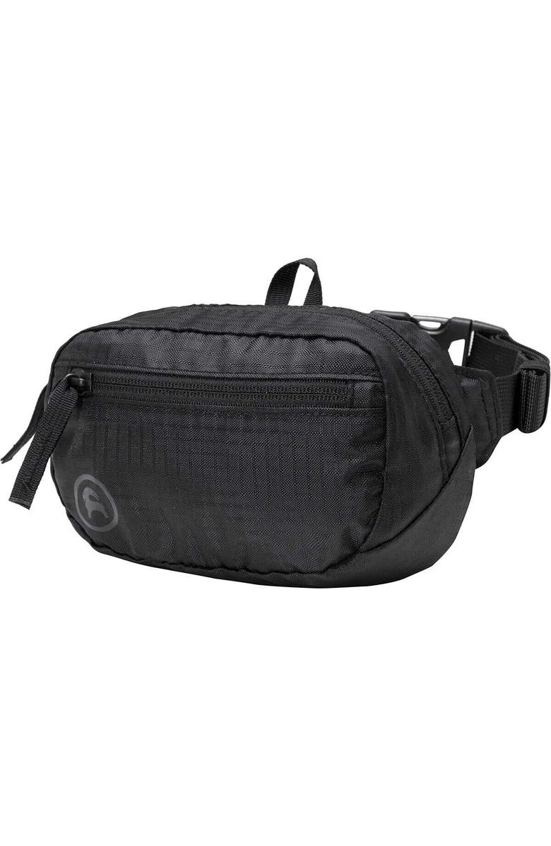 Backcountry Destination 1L Hip Pack, Main, color,