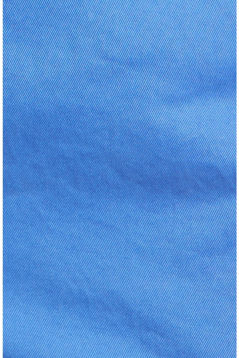 Chino Ankle Pants, Alternate, color, BLUE AMPARO