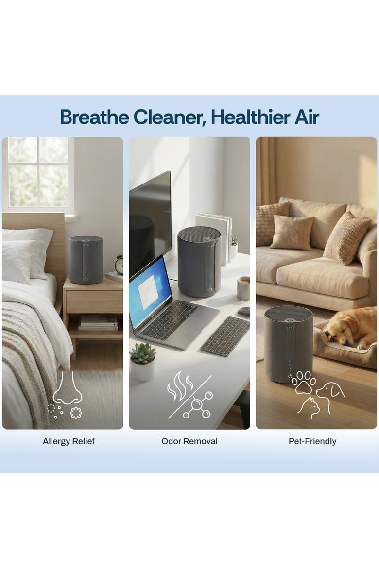 True HEPA Air Filter Replacement - Ibuki & Ibuki+, Alternate, color, Blue