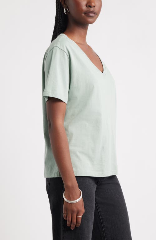 Treasure & Bond Core Cotton V-neck T-shirt In Neutral
