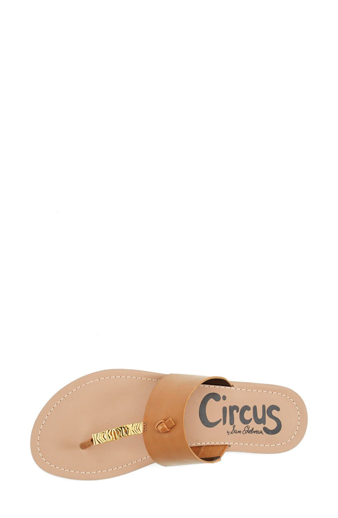 Circus NY by Sam Edelman Circus by Sam Edelman 'Saxon' Thong Sandal, Alternate, color, 