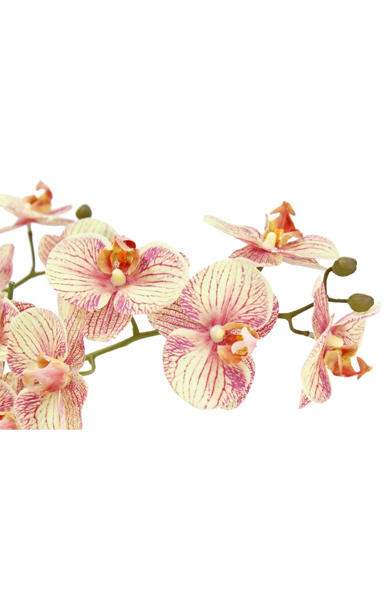 CG Hunter Artificial 4-Stem Phalaenopsis Orange Orchid, Alternate, color, Orange