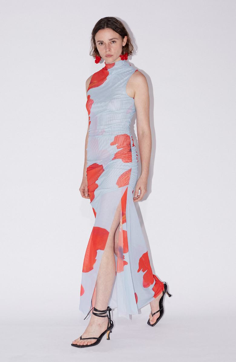 Floral Printed Mesh Dress
