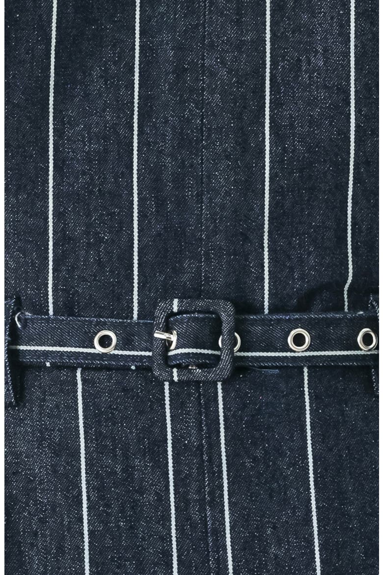 Striped Wide Leg Jumpsuit, Alternate, color, DARK DENIM