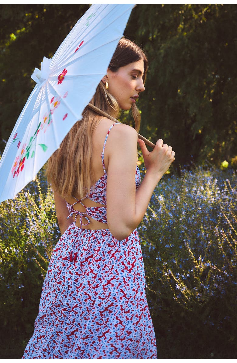 Ro's Garden Flynn Maxi Dress, Alternate, color, Red Botan