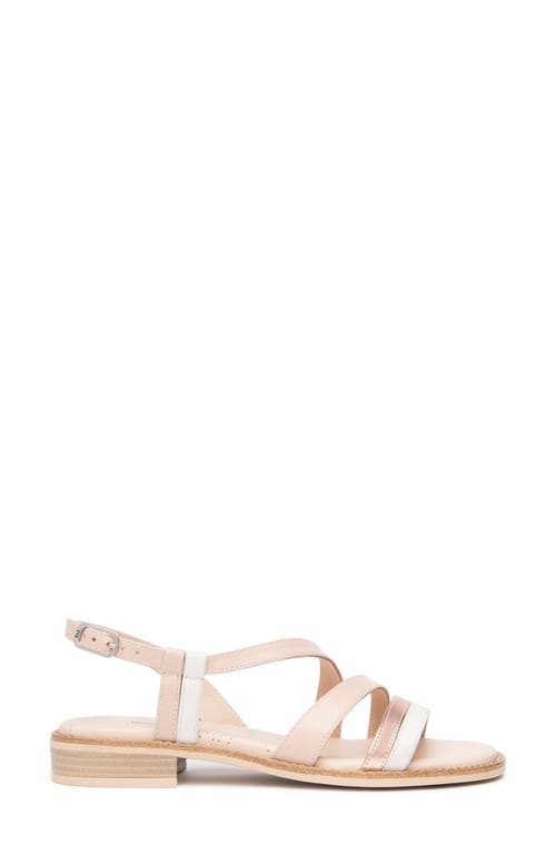 Nerogiardini Strappy Leather Sandals In Rose Multi