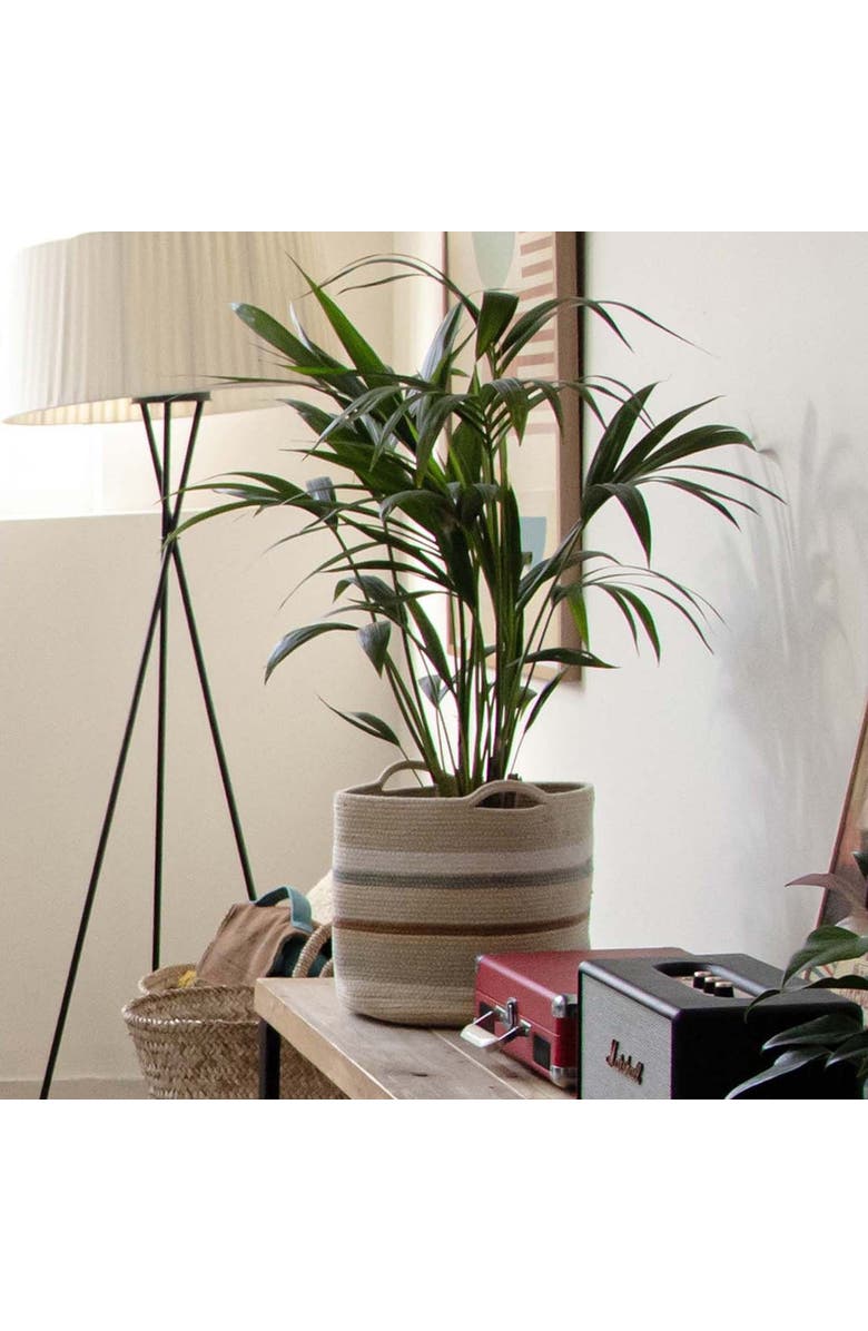 Lorena Canals Basket Triplet, Alternate, color, Multicolor