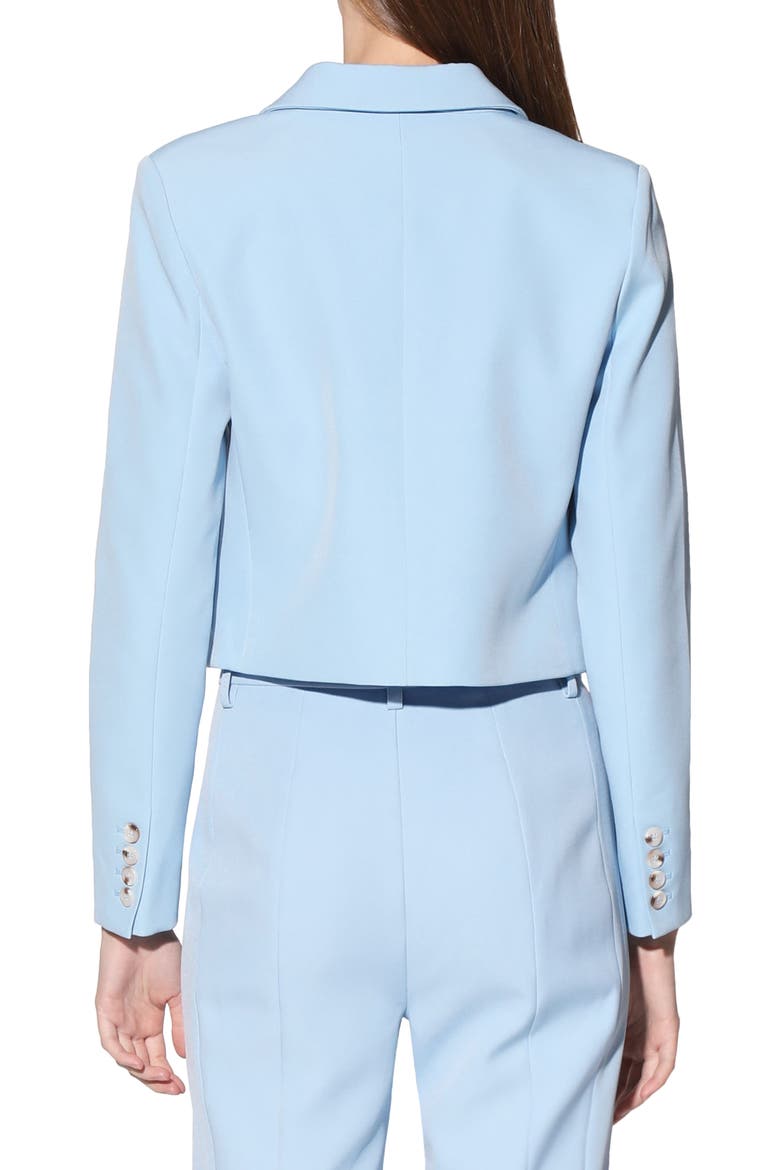 Joelle Blazer Jacket, Alternate, color, BABY BLUE