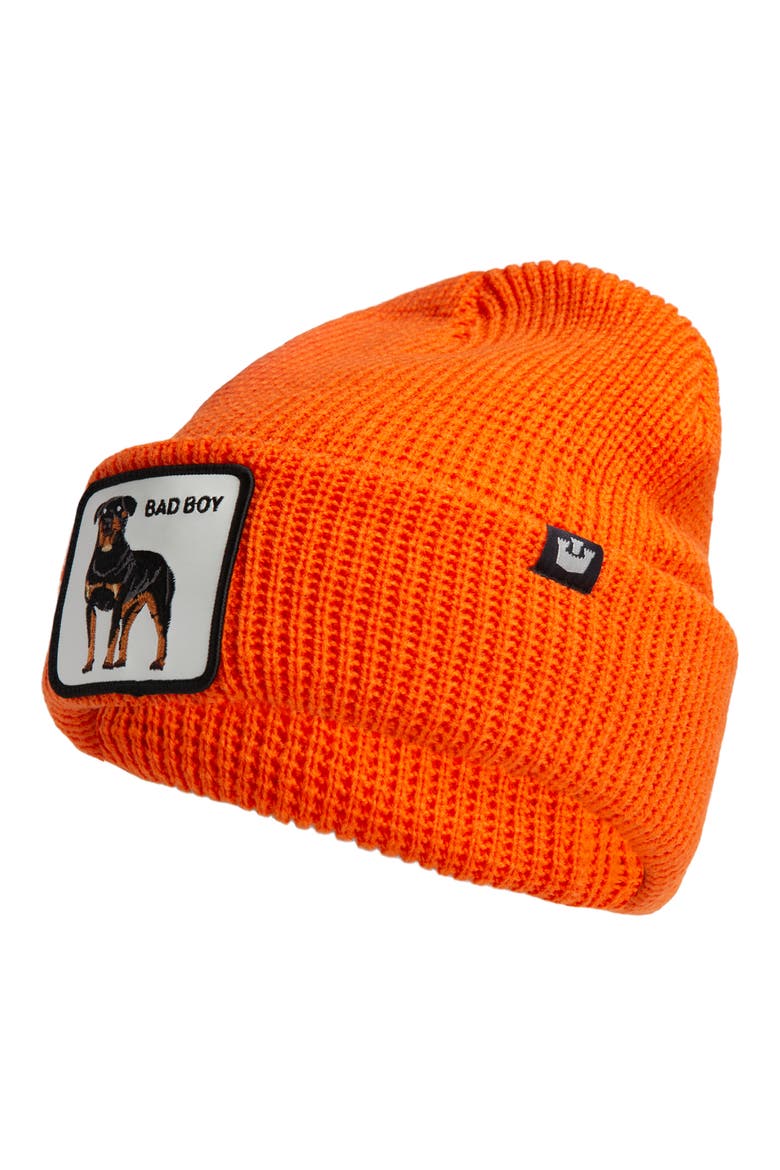 Alpha Beta Beanie, Main, color, ORANGE