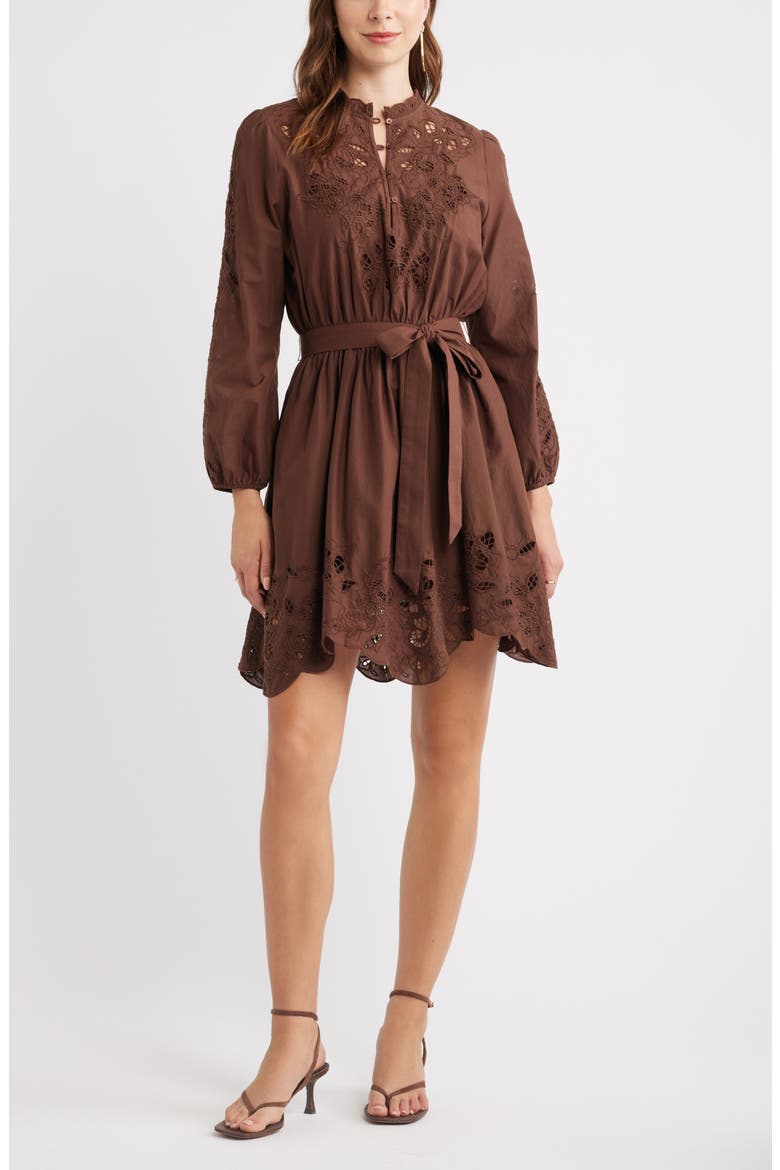 Embroidered Long Sleeve Tie Waist Minidress, Main, color, BROWN BITTER