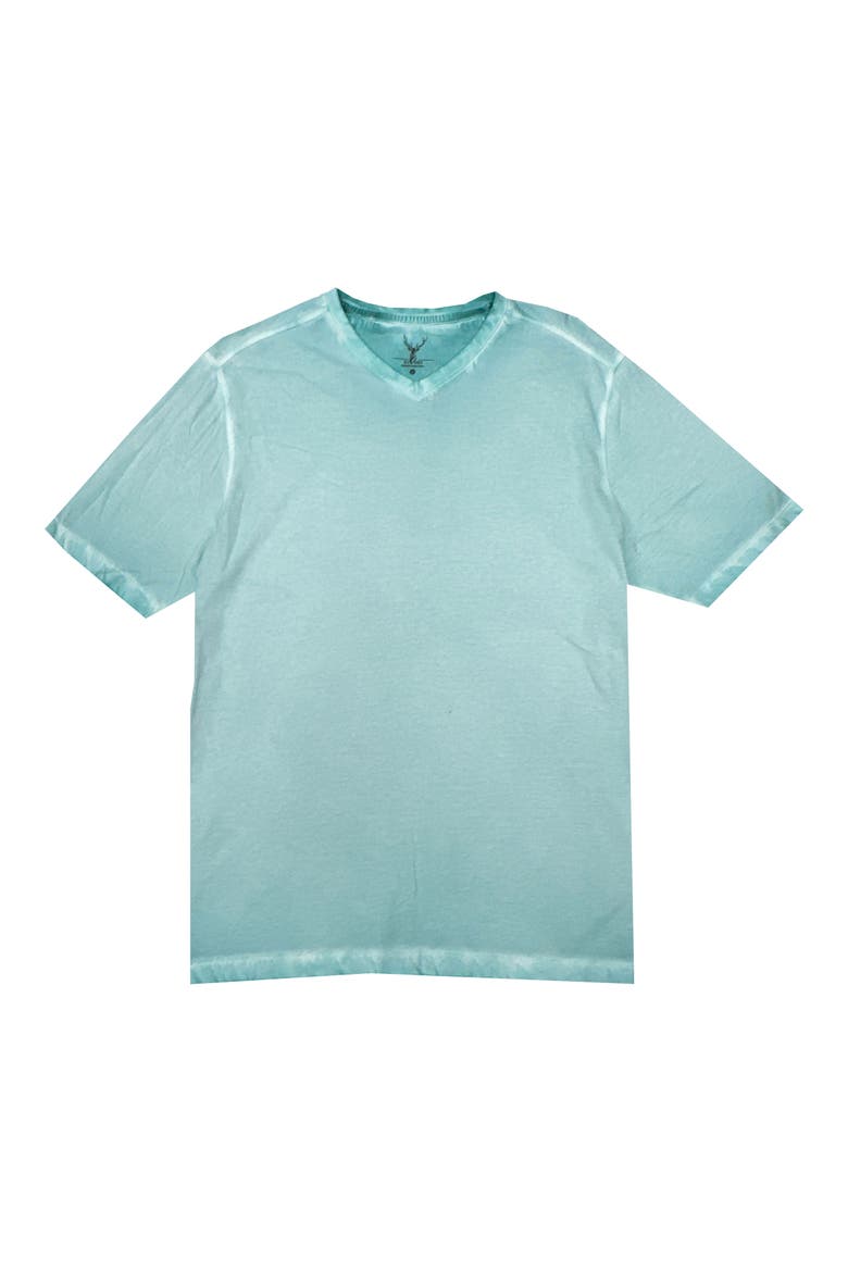 Spray V-Neck Pima Cotton T-Shirt, Main, color, TURQUOISE