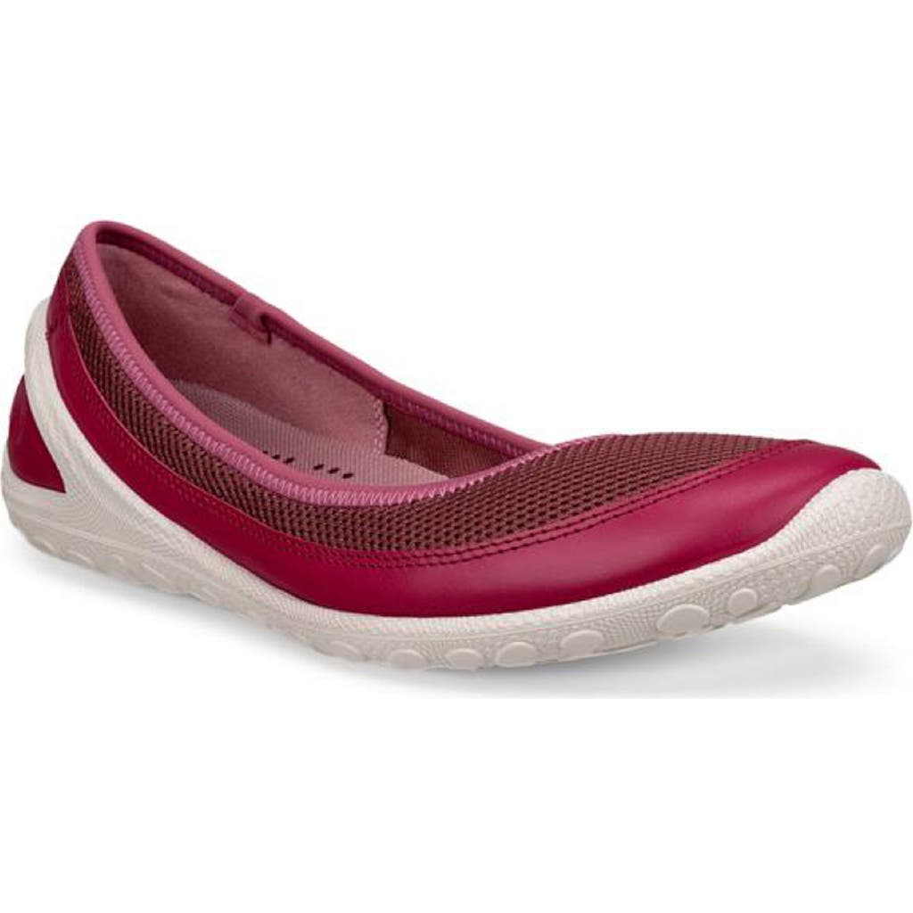 ECCO Biom Lite Skimmer Flat in Red Plum/Nocturne  product