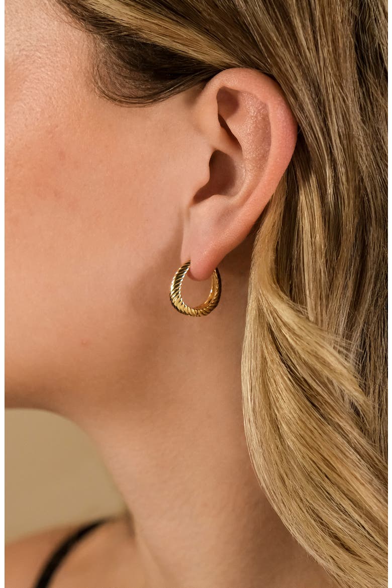 Fairley Oval Textured Huggie Hoop Earrings, Alternate, color, GOLD
