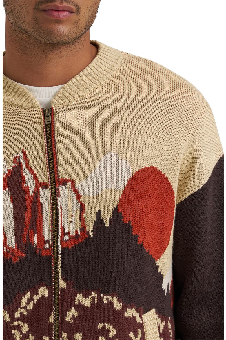 Desert Graphic Zip Cardigan, Alternate, color, AZTEC CHOCOLATE TORTE