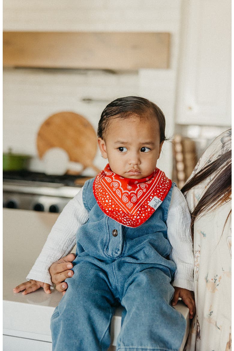 Boone Assorted 4-Pack Bandana Bibs, Alternate, color, BOONE