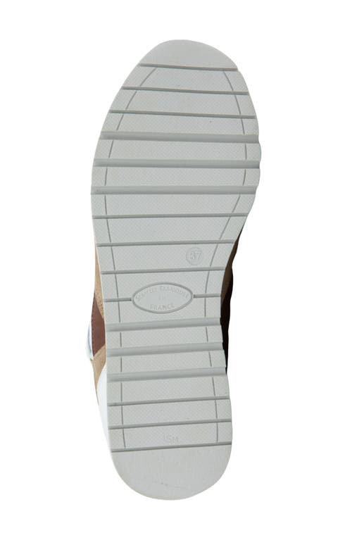 Naot Collins Sneaker In Multi