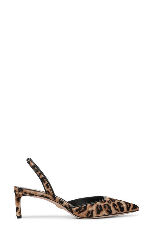 Veronica Beard Caroline 2 Genuine Calf Hair Pointed Toe Pump In Brown