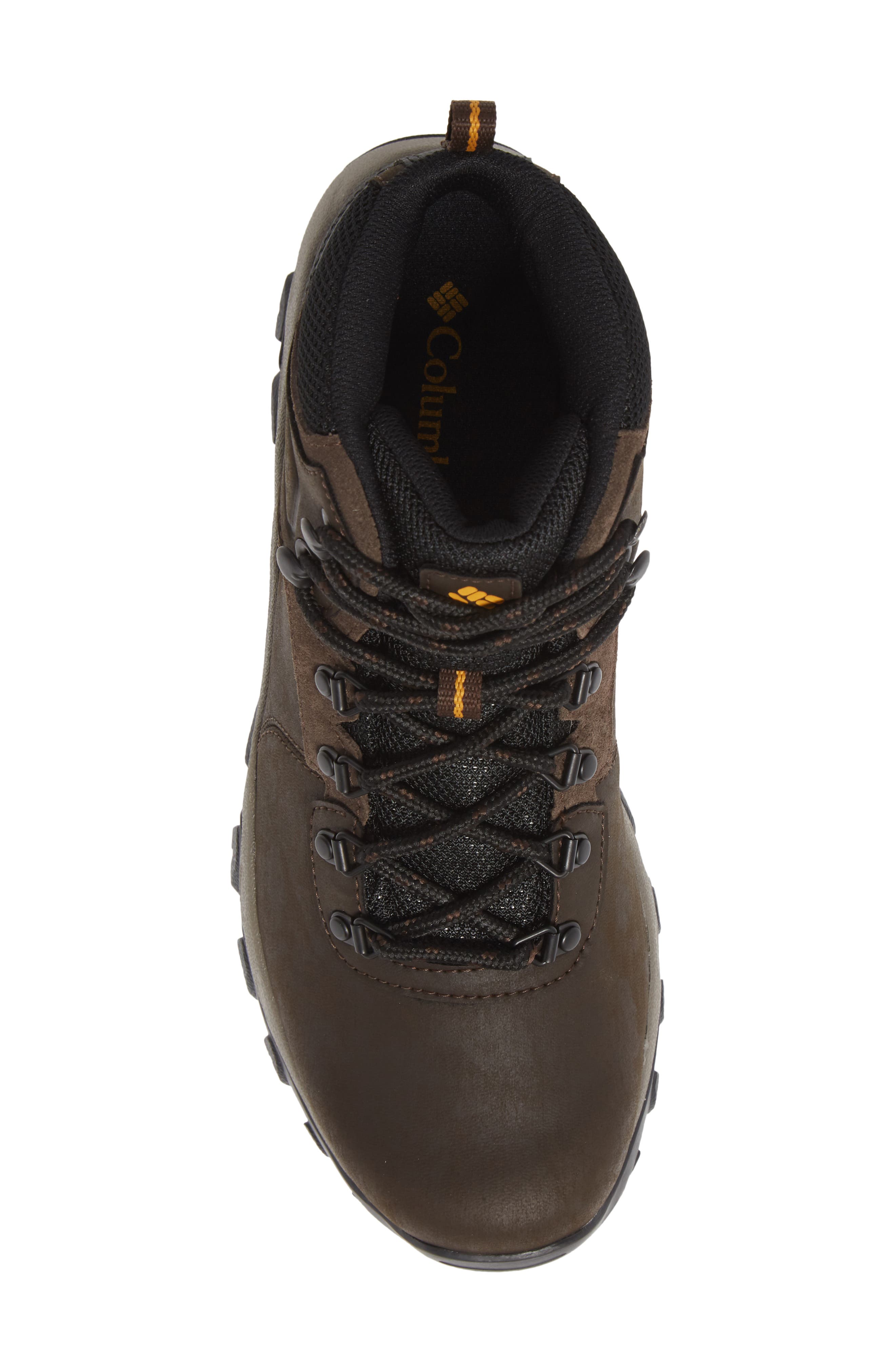 Newton Ridge™ Plus II Waterproof Hiking Boot, Alternate, color, CORDOVAN/ SQUASH