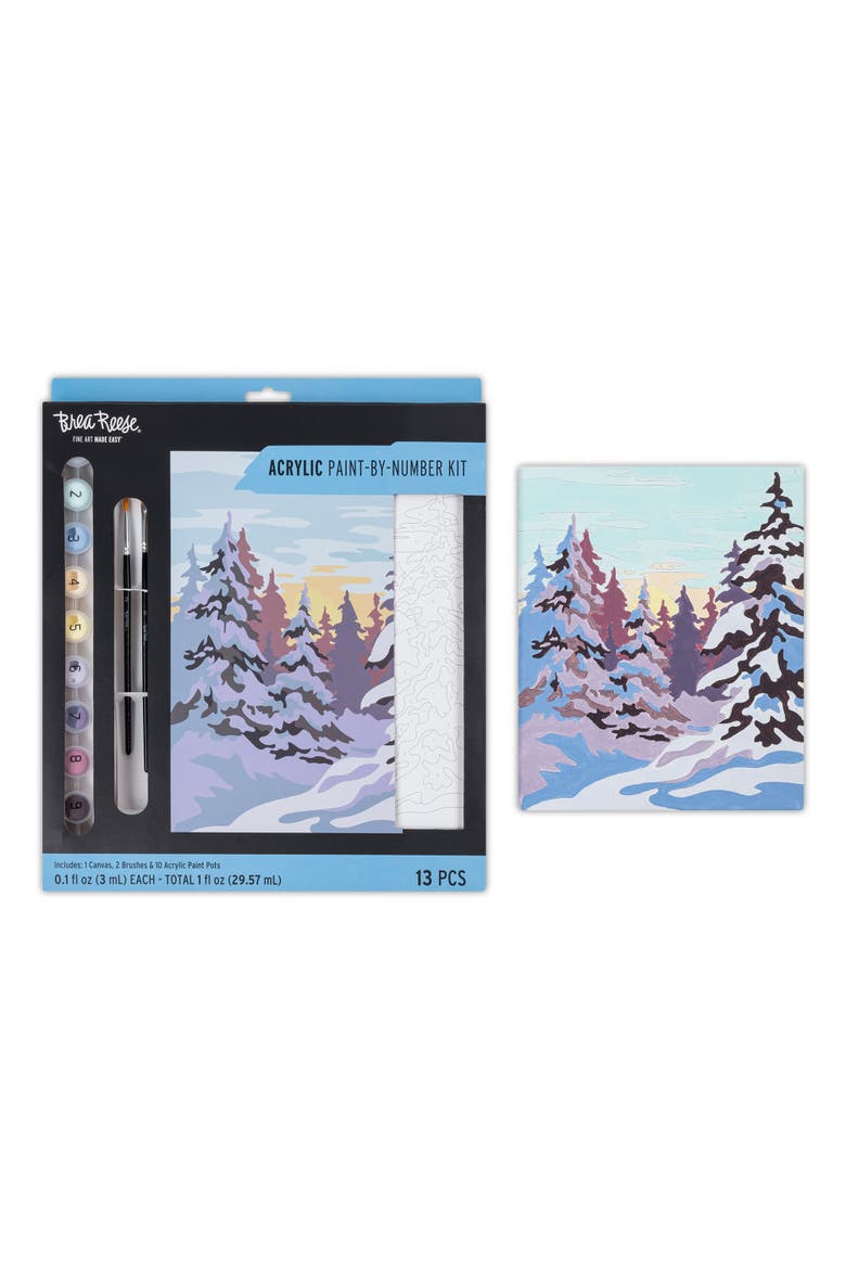 Acrylic Paintbynumber Kit Winter Wonderland, Alternate, color, Multicolored