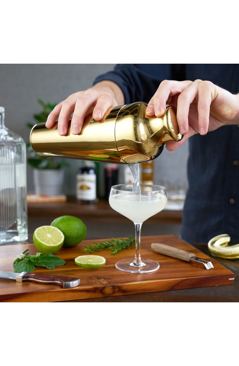 Viski Parisian Cocktail Shaker, Alternate, color, Belmont