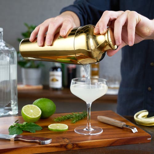 Viski Parisian Cocktail Shaker In Belmont