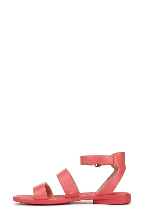 Shop Soul Naturalizer Fiesta Ankle Strap Sandal In Coral