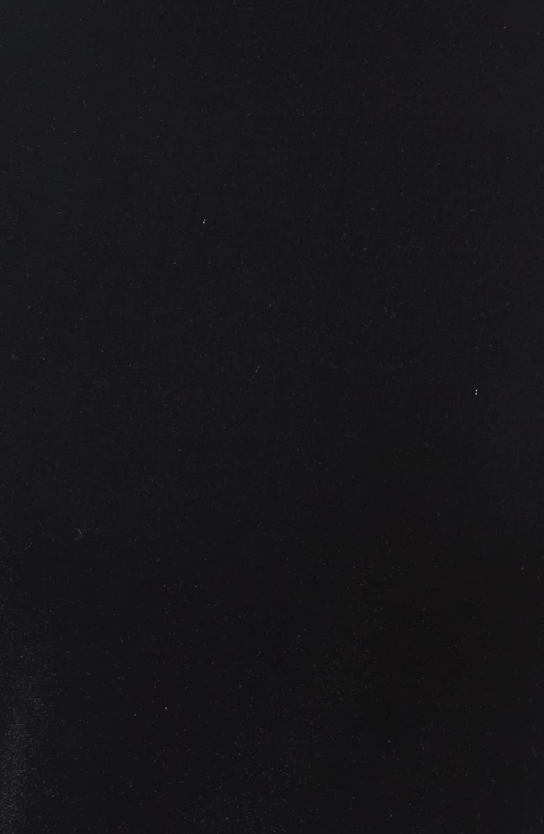 Madewell Velvet Mockneck Tee, Alternate, color, 