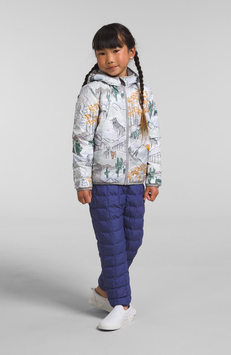 The North Face Kids' Reversible ThermoBall<sup>™</sup> Hooded Jacket, Alternate, color, 