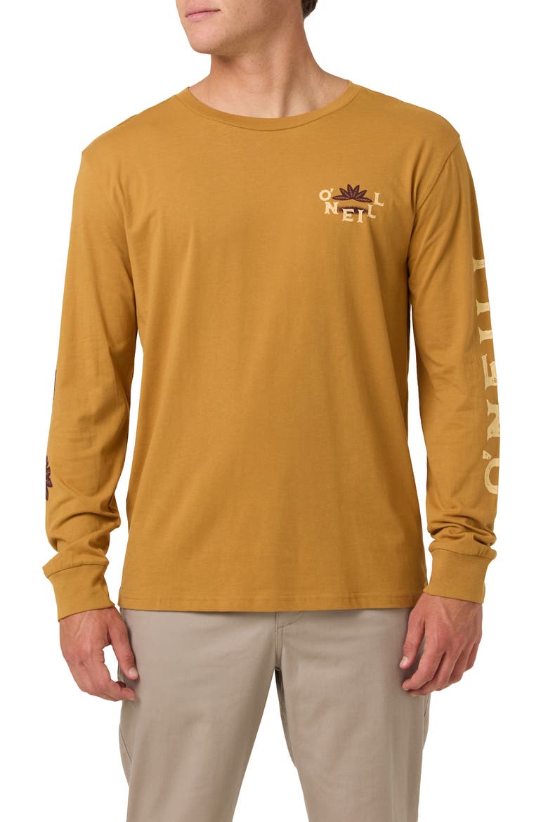 El Calafate Long Sleeve Cotton Graphic T-Shirt, Main, color, BONE BROWN