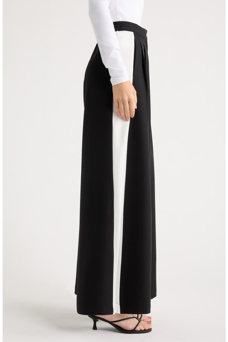 Pleated Wide Leg Pants, Alternate, color, BLACK / ARCADIAN IVORY