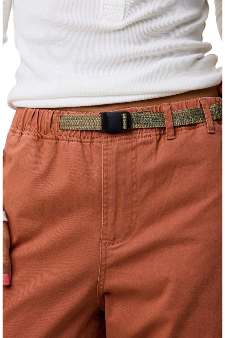Venture Daily Flannel Lined Pant - Women's, Alternate, color, Sierra